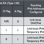 ipv6-flags-ver2.png