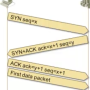 3wayhandshakesimple.png