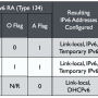 ipv6-flags.png